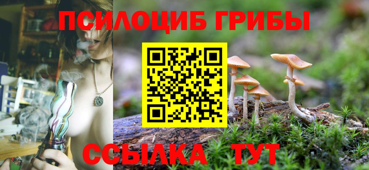 Ленинск-Кузнецкий  Галлюциногенные грибы MAGIC MUSHROOMS  Вход с VPN  Псилоцибиновые грибы Magic Shrooms 