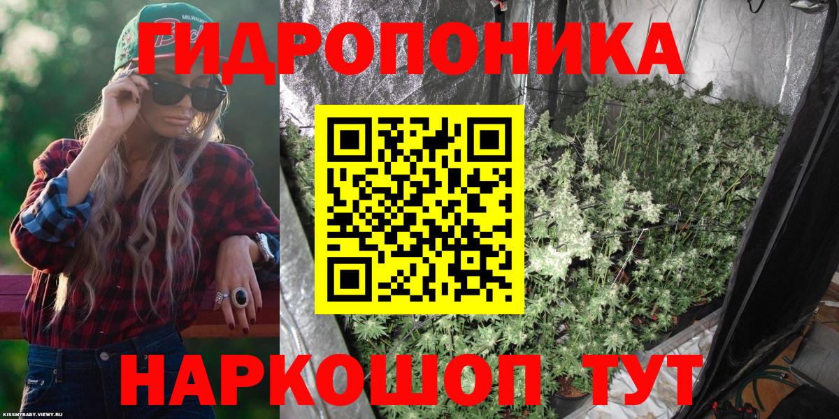 Бошки Шишки ГИДРОПОН Ленинск-Кузнецкий